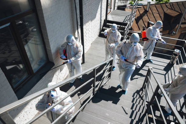 Best Mold Odor Removal Services  in Teague, TX
