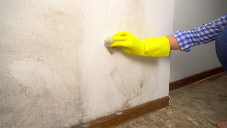 Best Dehumidification Services  in Teague, TX