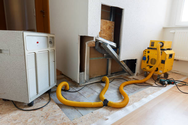 Best Attic Mold Removal  in Teague, TX